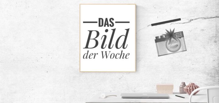 Das Bild der Woche