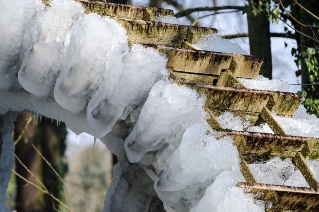 Winterzauber 2018