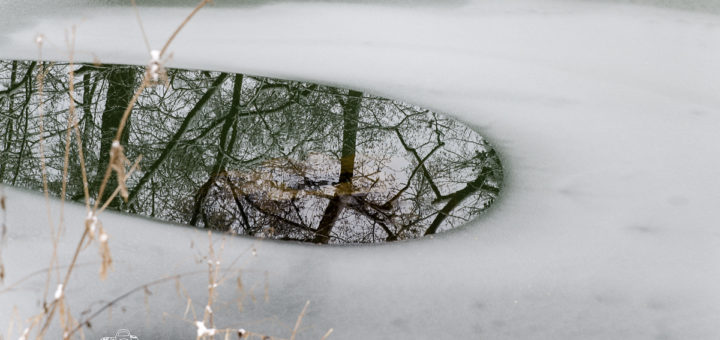 Winterzauber 2013
