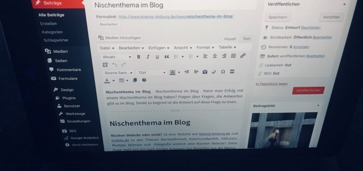 Nischenthema im Blog