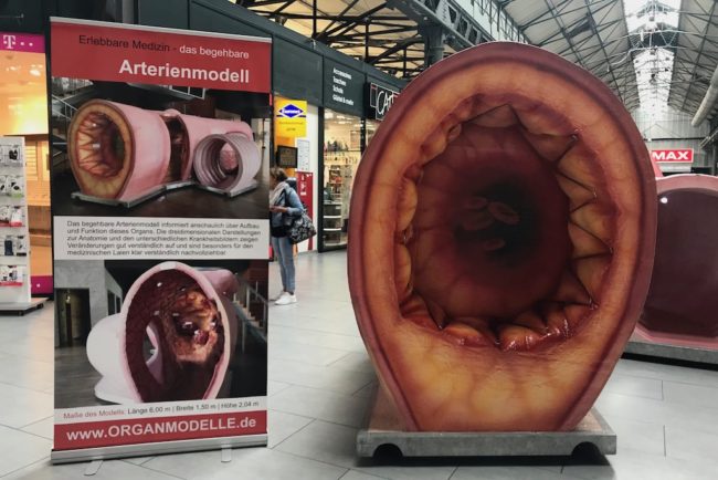 Wochen Schnipsel 20-2018