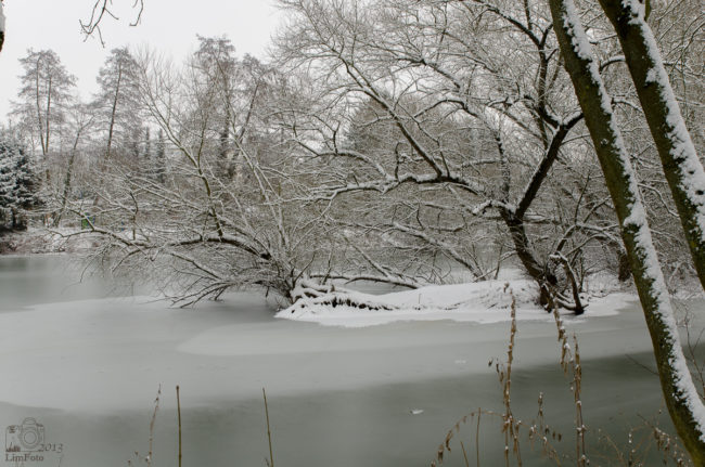Winterzauber 2013