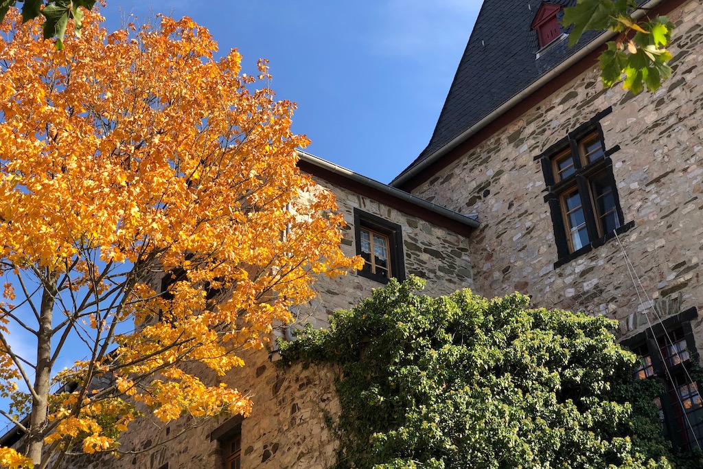 Bild der Woche 42. KW 2018