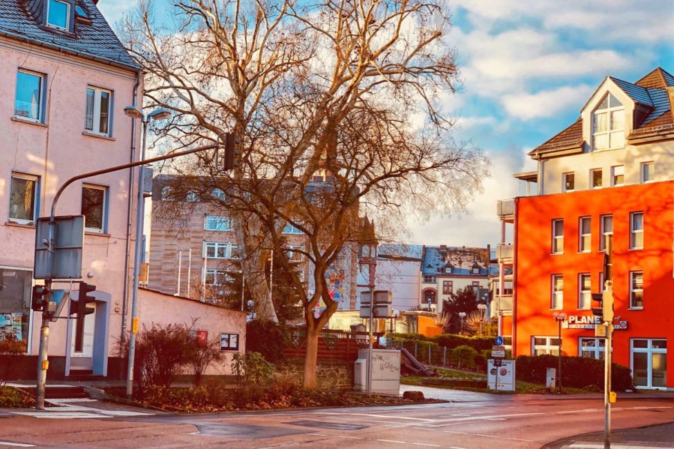 BILD DER WOCHE 020219