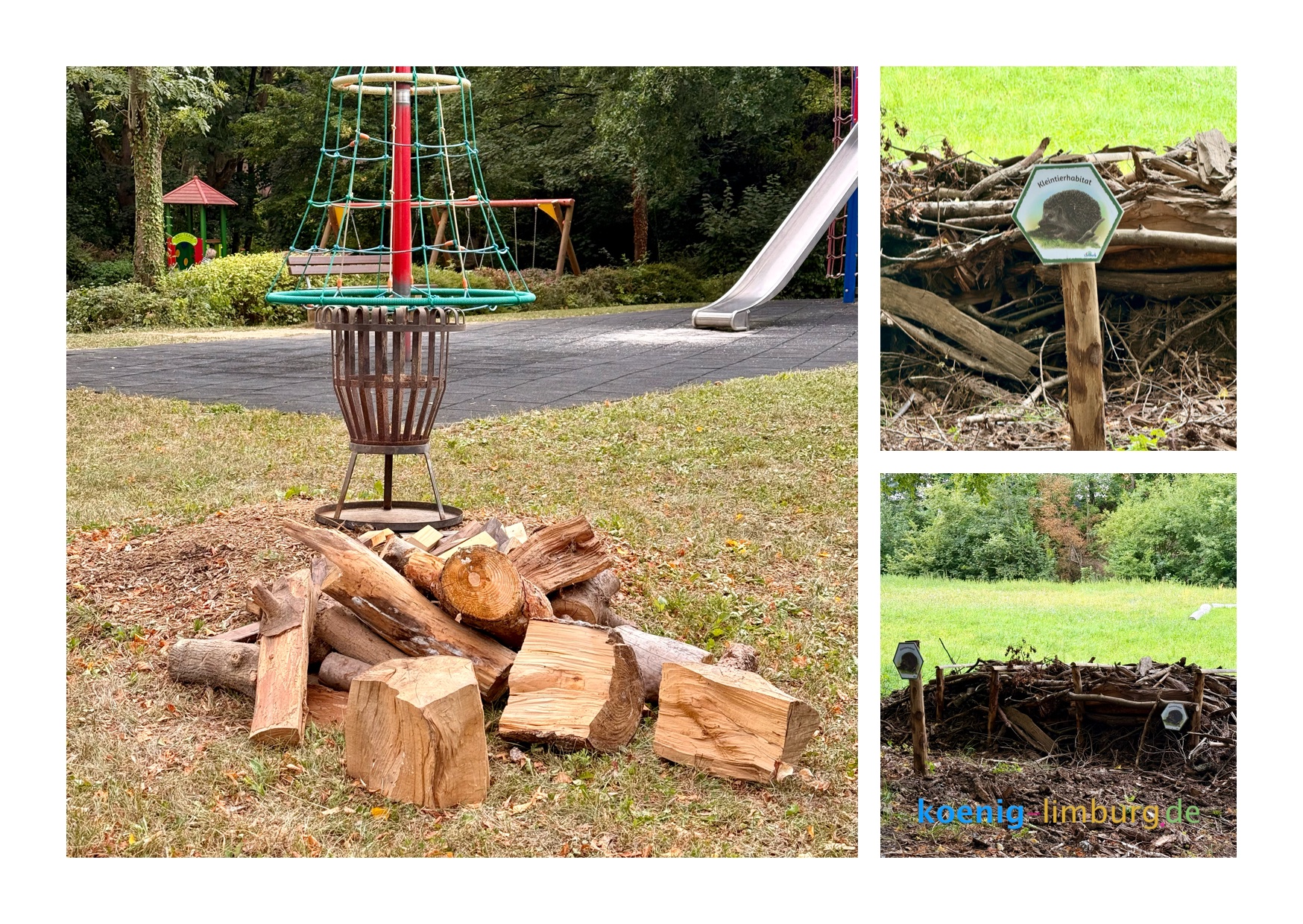 Projekt 52 im August - Holz