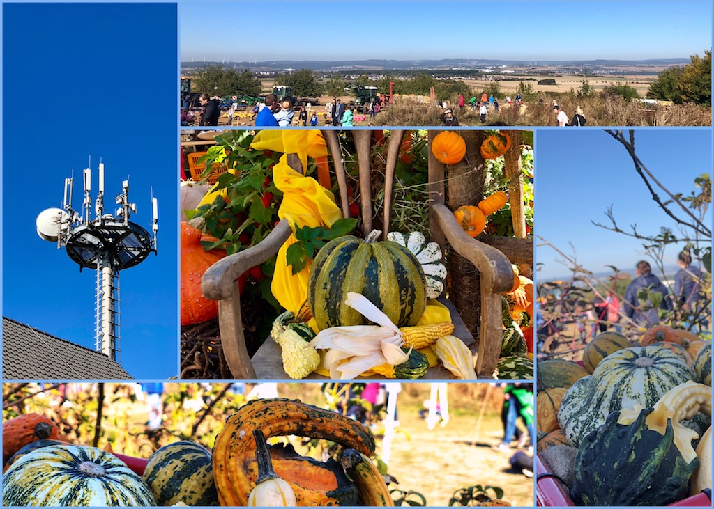 Bild der Woche 40. KW 2018