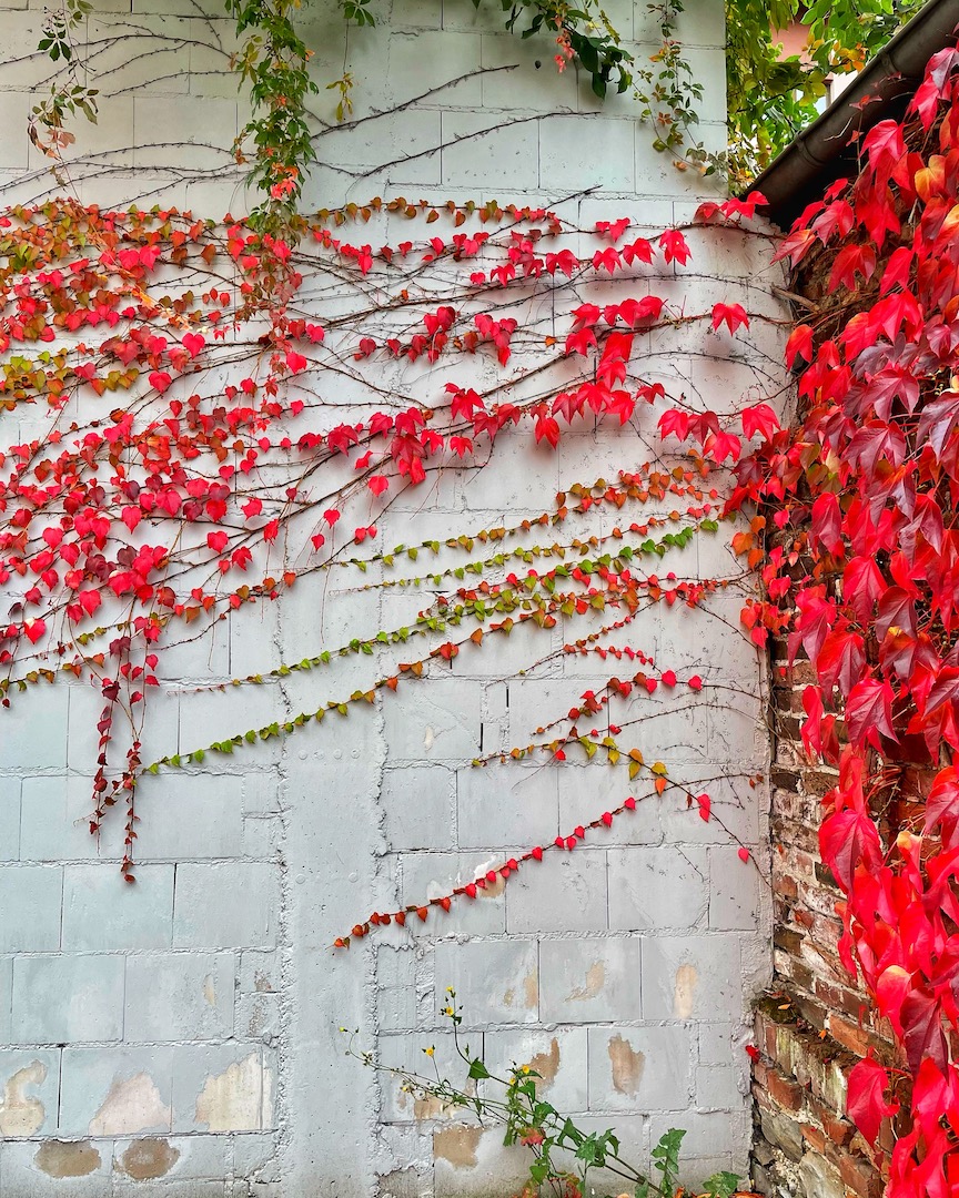 Herbstfarben