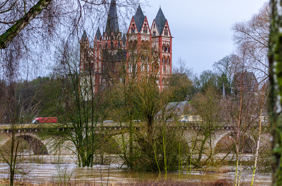 BILD DER WOCHE 050119