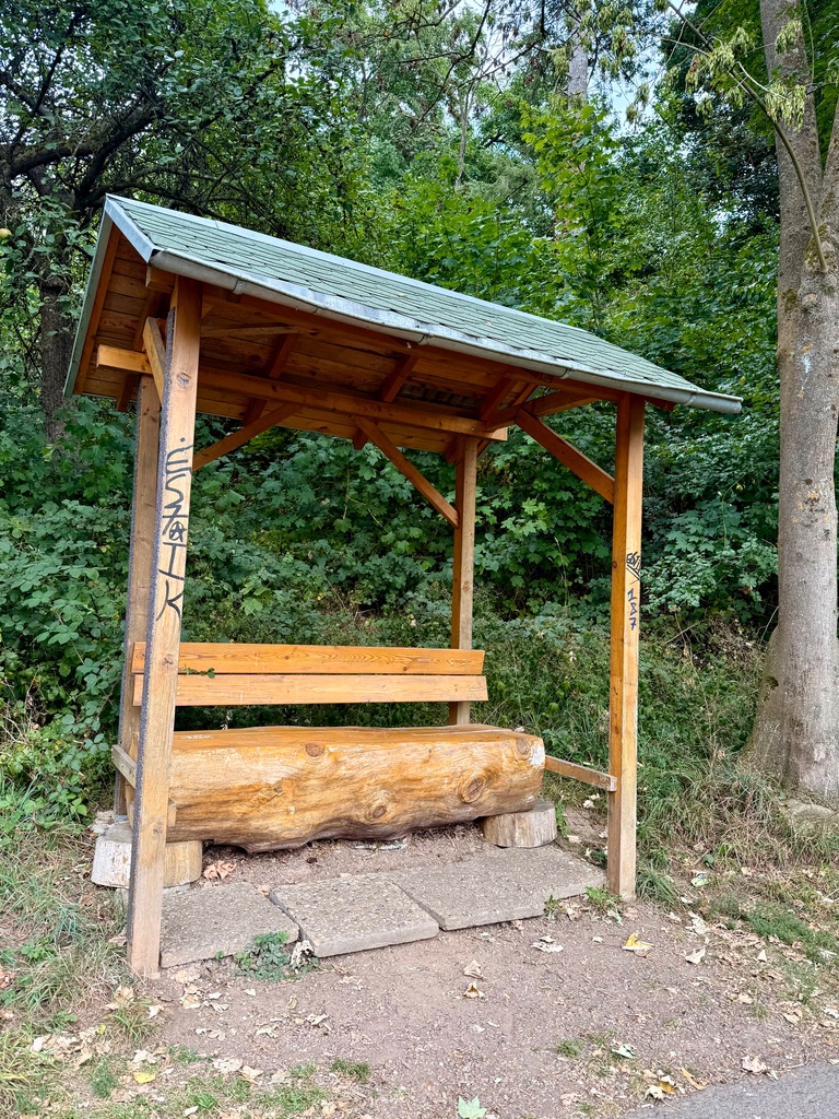 Projekt 52 im August - Holz