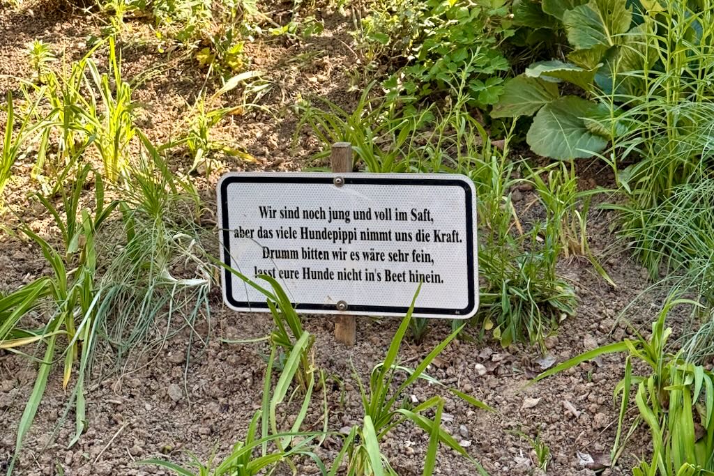 Immer wieder sonntags
