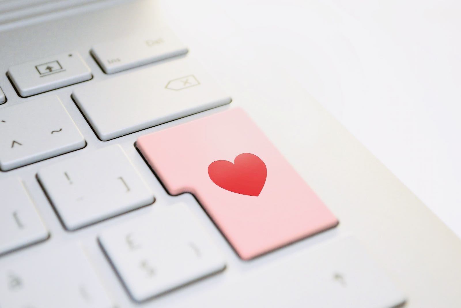 Netzfundstück – quer durch den online Garten