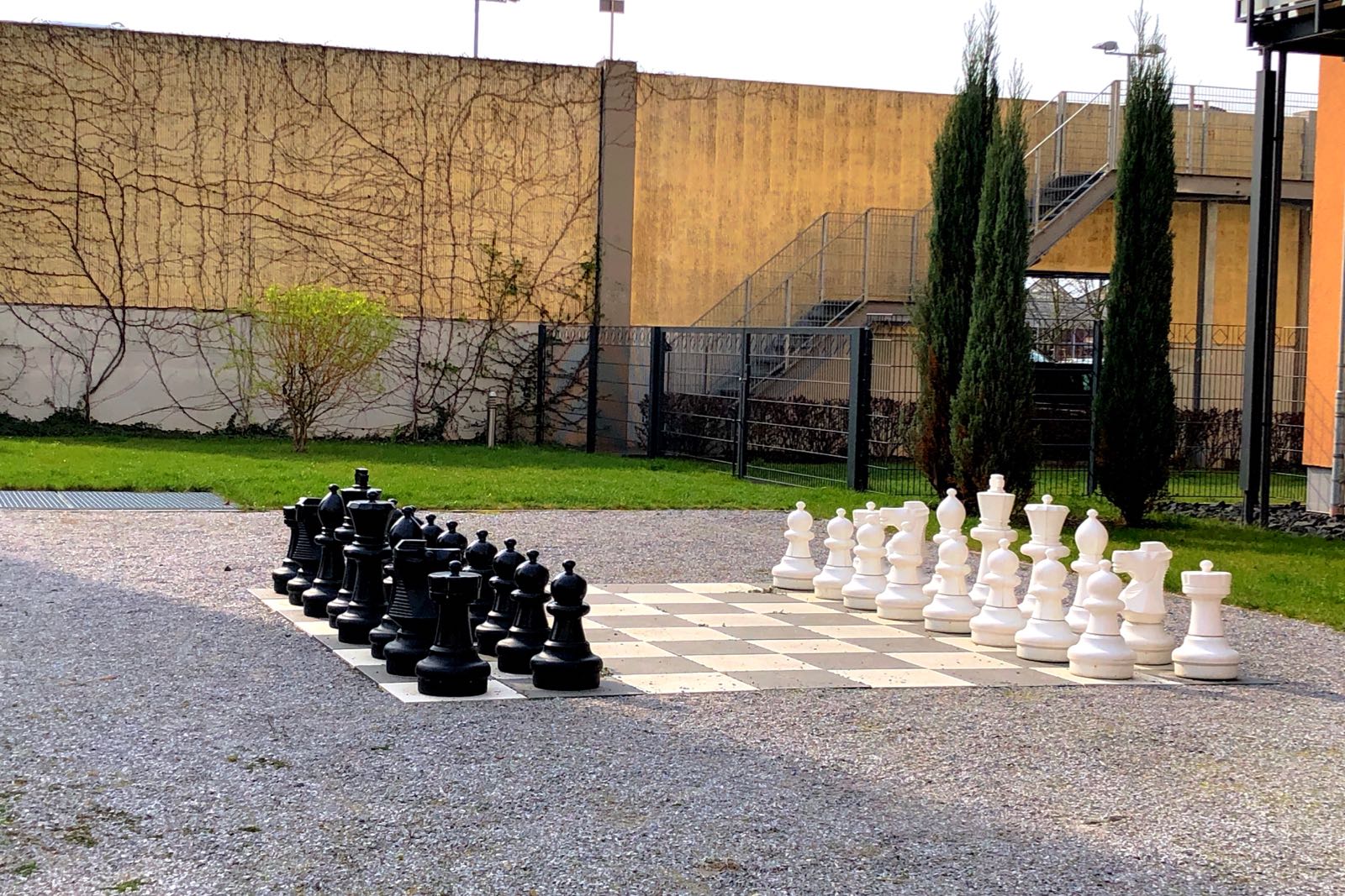 190406 BILD DER WOCHE