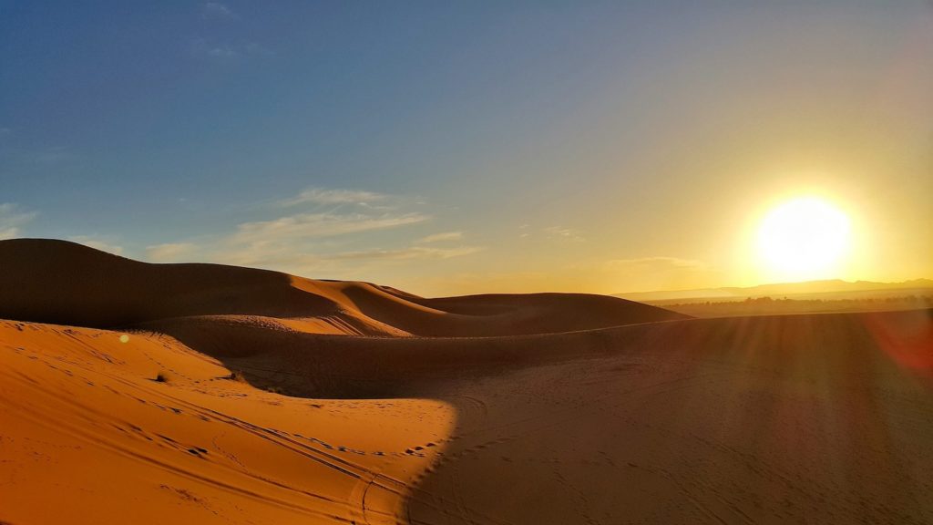 Hitzewelle: Sahara-Sommer macht MSler fertig