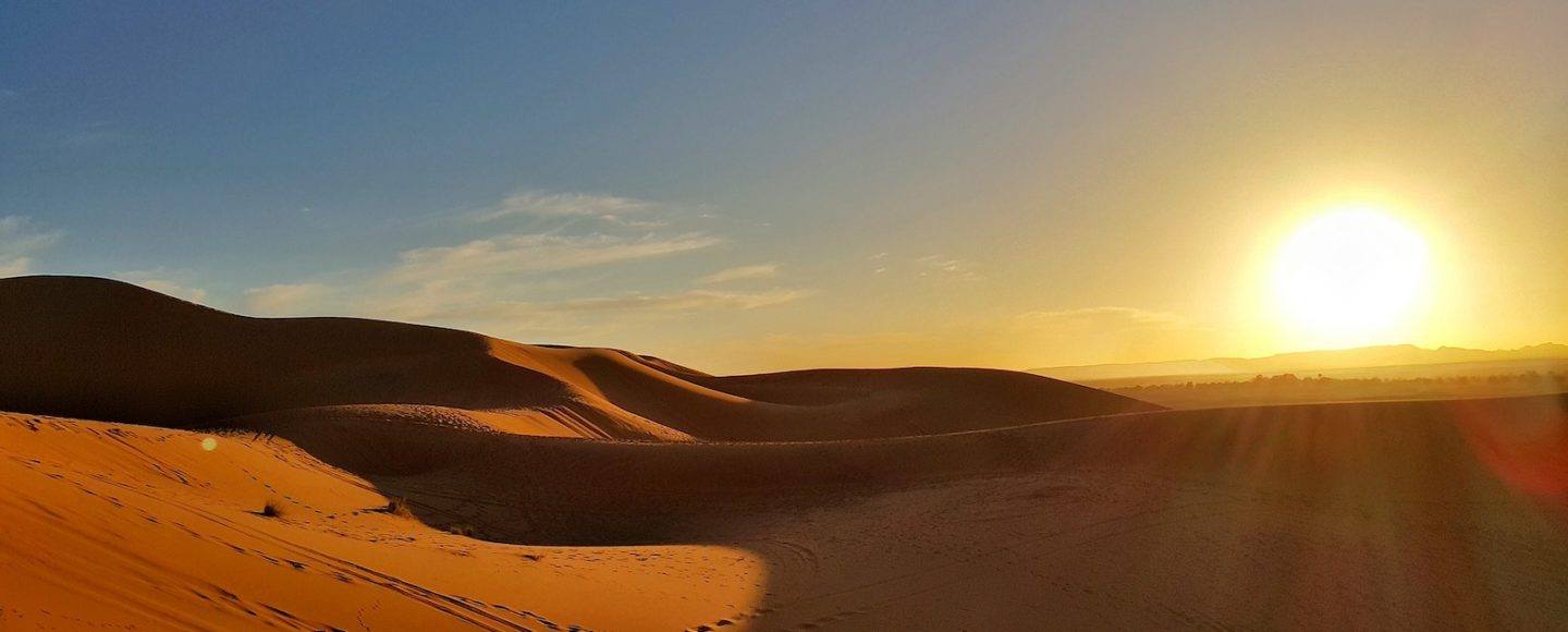 Hitzewelle: Sahara-Sommer macht MSler fertig