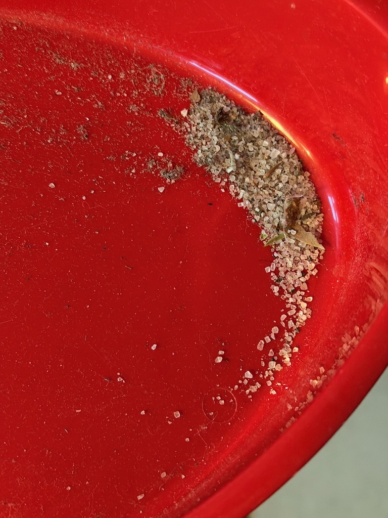 Streusalz (auch Auftausalz genannt) im Blickfeld