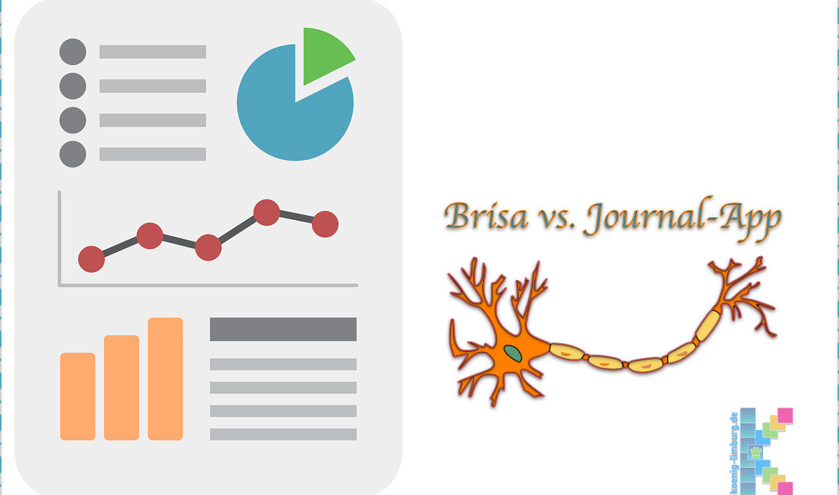 Brisa vs. Journal-App