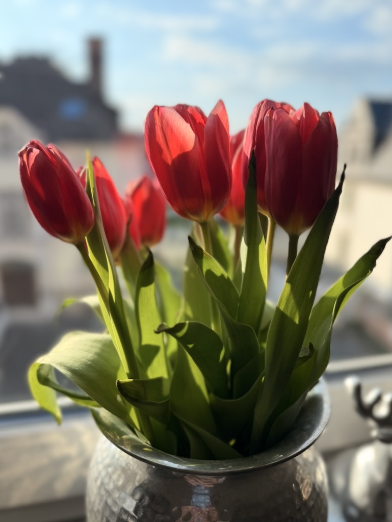 Tulpen am Sonntag