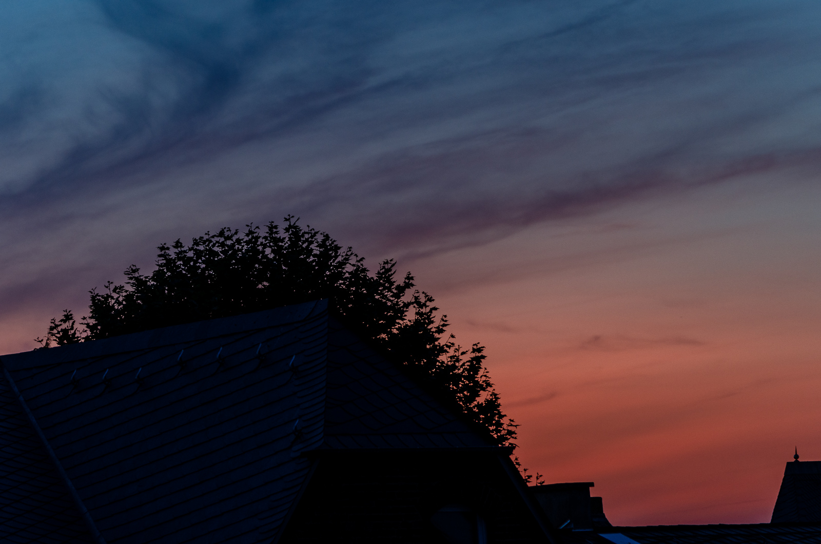 190810 BILD DER WOCHE