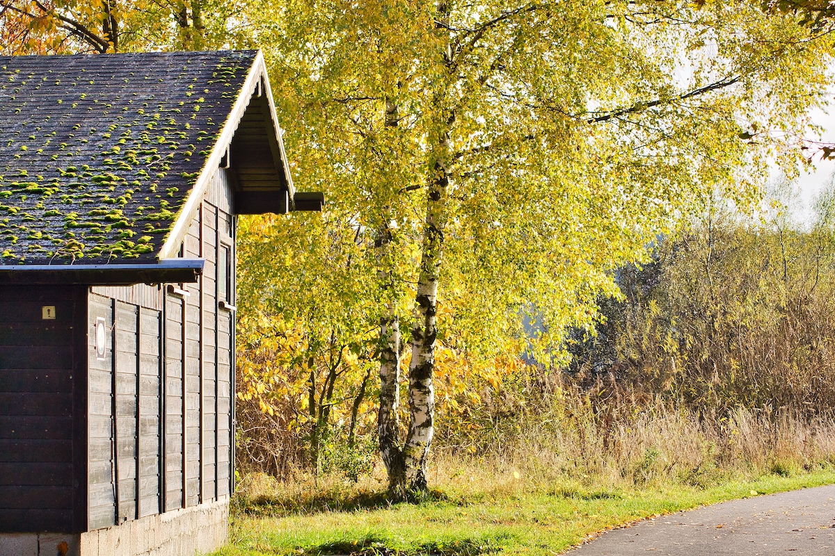 Waldbaden – die Kraft der Natur