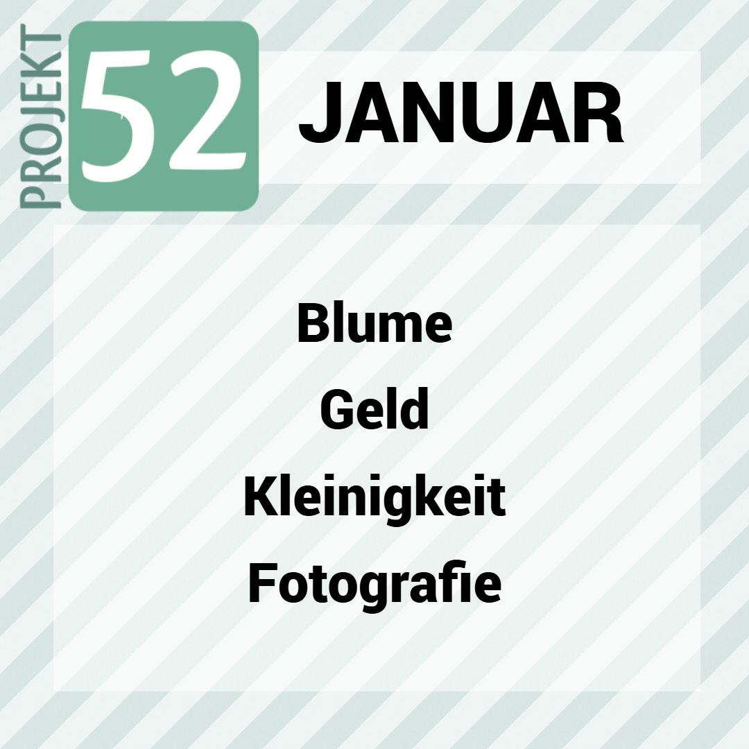 Projekt 52 im Januar 2026 + Linkparty