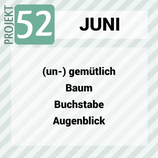 Projekt 52