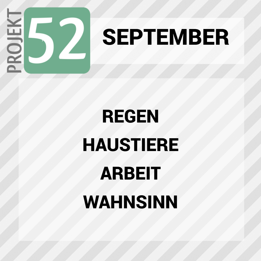 Projekt 52 im September