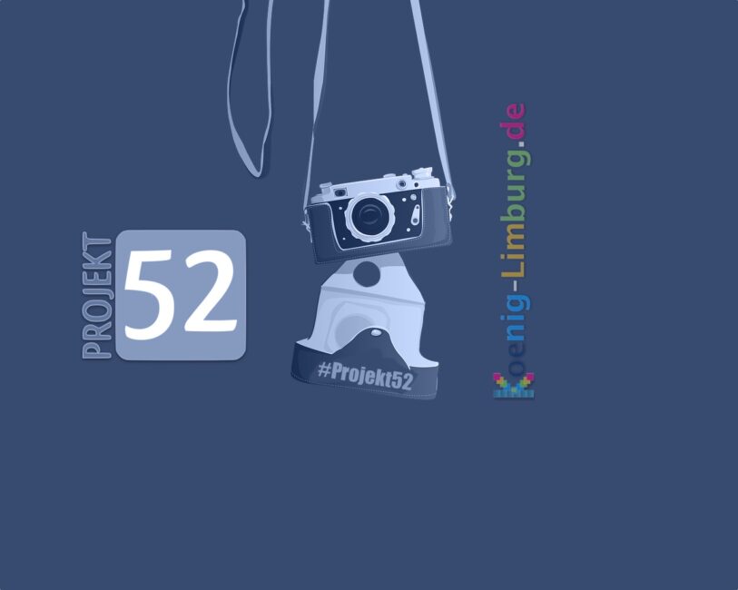Projekt 52