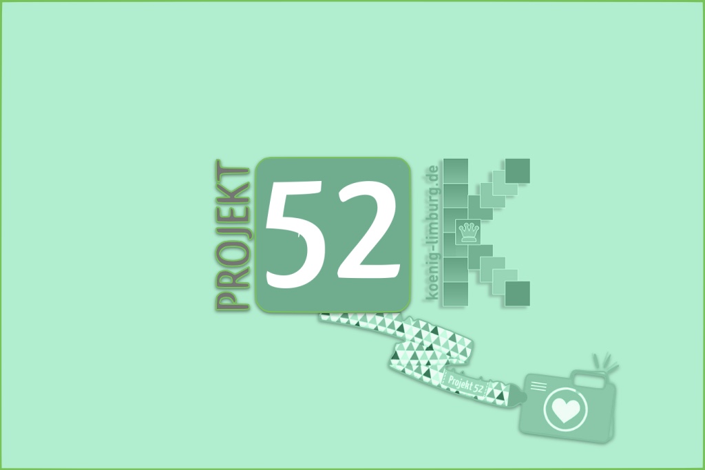 Projekt 52