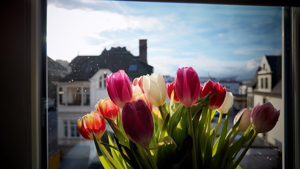 Tag 7: Immer wieder sonntags, Episode 50!